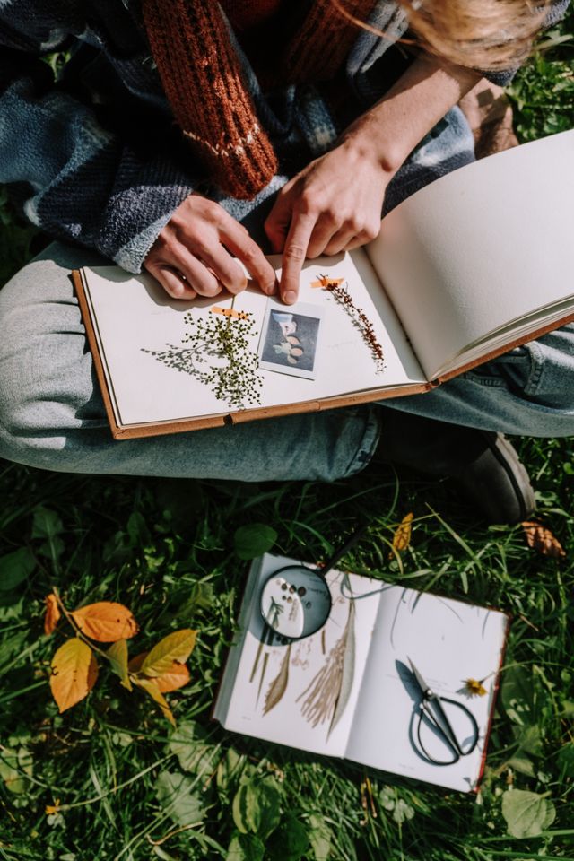 journal