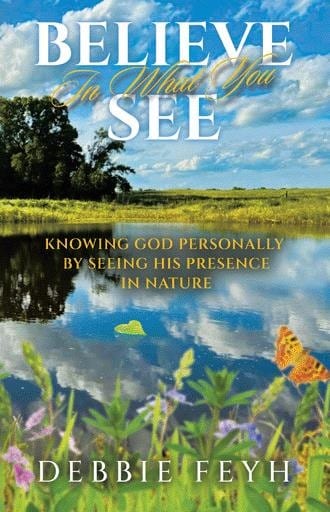 Believe In What You See — book by Debbie Feyh