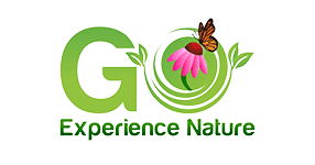 Green "Go" logo with flower and butterfly.