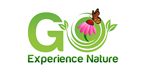 Green 'G' logo with flower and butterfly.