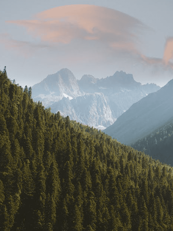 A mountain range with a forest below.