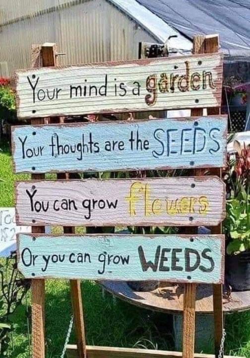 Mind garden, thoughts are seeds.