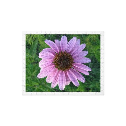 Pink coneflower in a jigsaw puzzle.