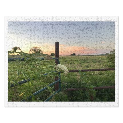 Sunset over green field with fence.