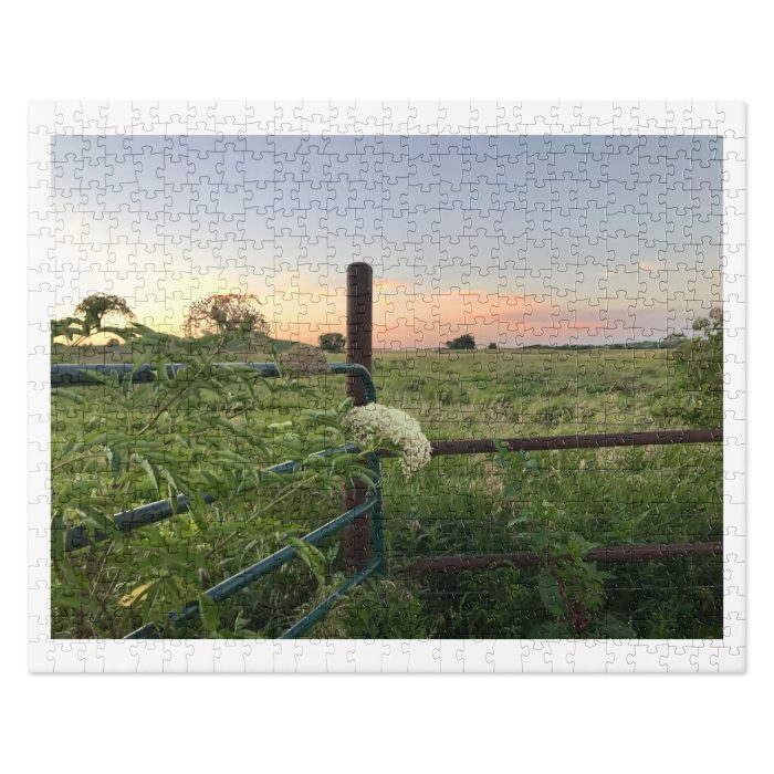 Sunset over green field with fence.