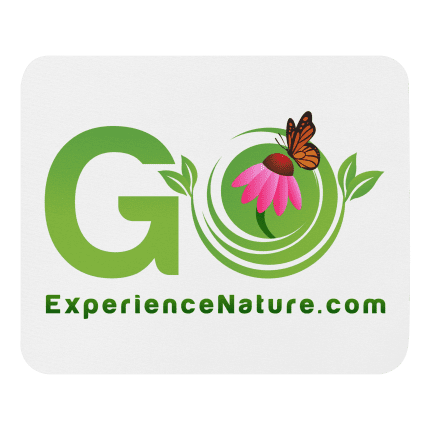 Green 'Go' logo with flower and butterfly.