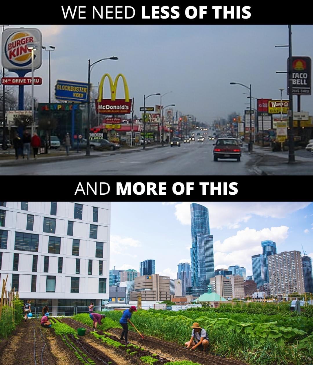 Urban cityscape vs. rooftop garden.