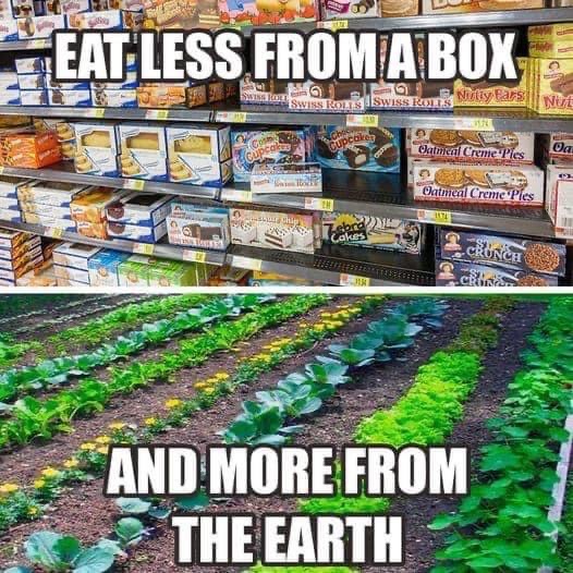 Grocery store shelf and a vegetable garden.