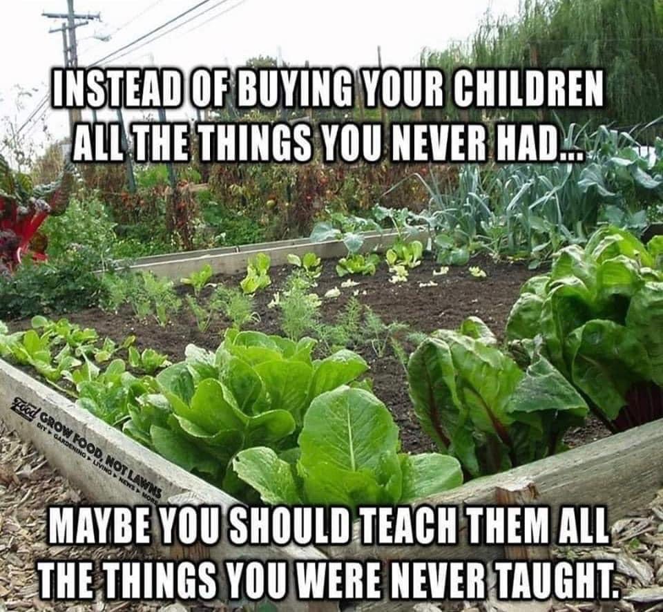 Garden bed with text about teaching children.