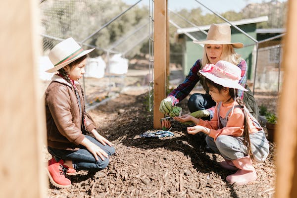 Three girls gardening in a field.